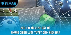 kèo tài xỉu 2.75
